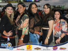Festa da Vaca Atolada